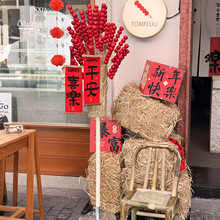 ��ʽ���Ǻ��J�[��2026Ԫ���������b��ú����������������