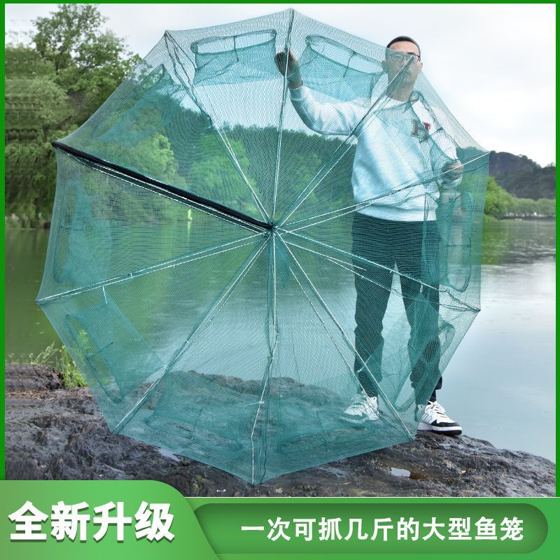 大型鱼笼折叠鱼网只进不出渔网黄鳝泥鳅虾笼龙虾网笼螃蟹捕鱼笼