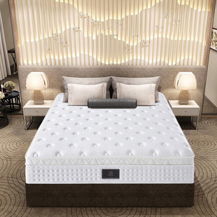 Five-star hotel mattress B & B apartment spring mattress latex factory soft and hard wholesale 1.8m Simmons
