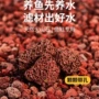 古法多肉兰花养鱼缸火山石