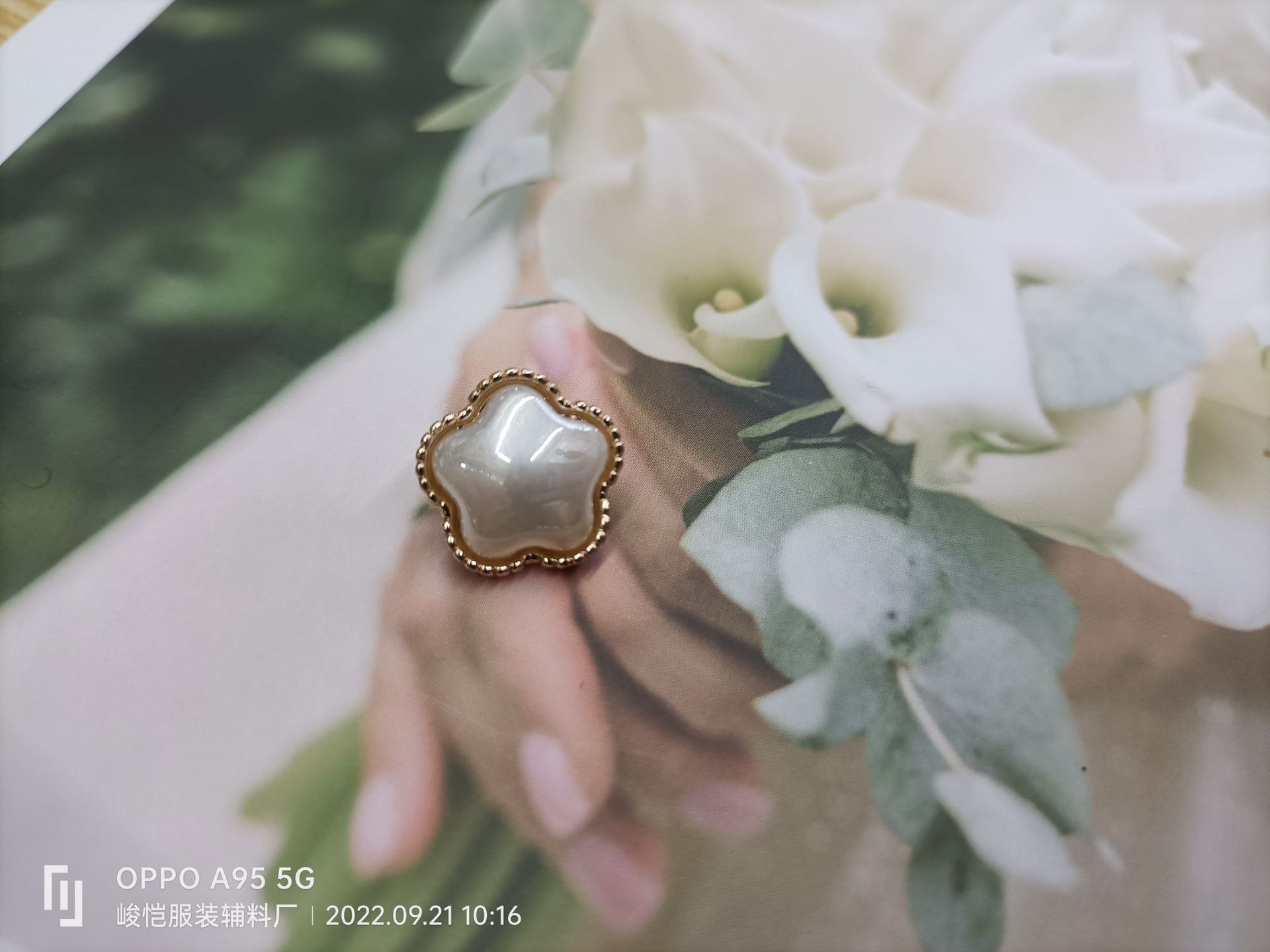 09523d5911829d3d1e471332e74e99