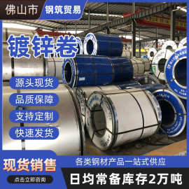 广东现货镀锌卷无花有花镀锌卷板0.5~1.2mm厚镀锌钢板可开平切割