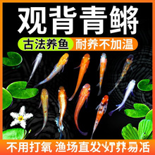 �^�����F�^�p�~��ˮ�~��ħ���~С���\�����~��ˮ�~���������B����