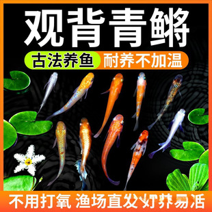 �^�����F�^�p�~��ˮ�~��ħ���~С���\�����~��ˮ�~���������B����