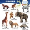 Moon flavor 8 animal sets+delivery box)