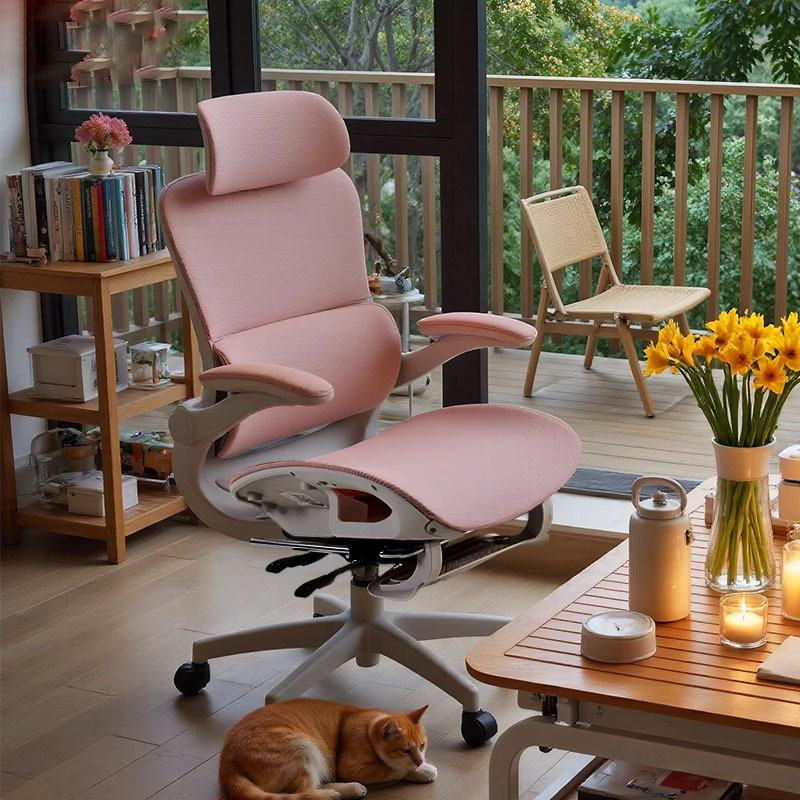 Ergonomic Chair Backrest Chair Computer Office Chair Dormitory Girls' Bedroom Sedentary Home Study Live Broadcast Chair
