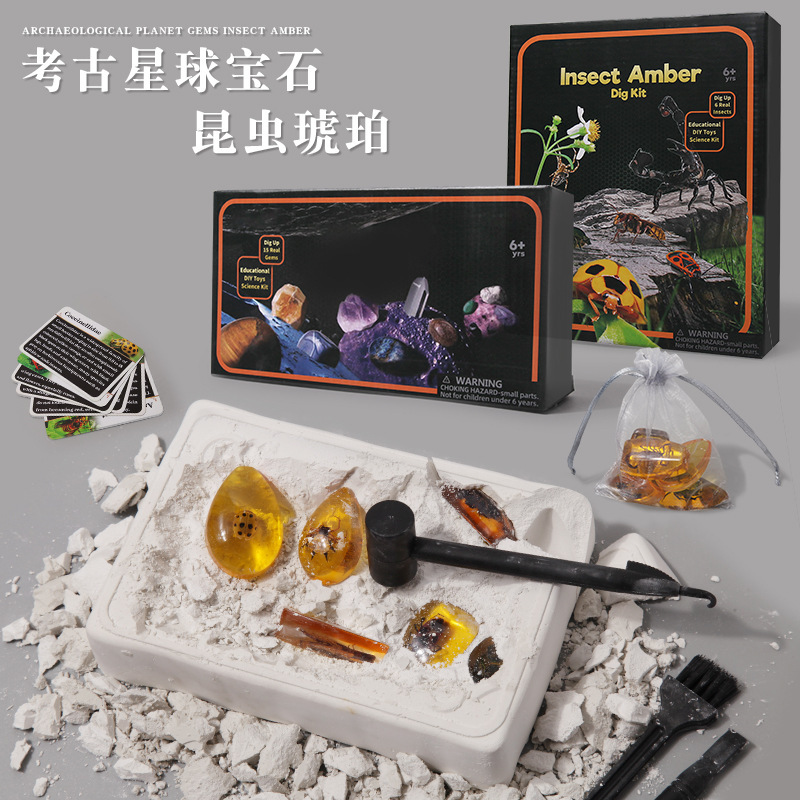 Insect Amber Archaeological Excavation Toy Gemstone Crystal Set Fossil Treasure Hunting Children's Educational Blind Box Insect Amber Archaeological Excavation Toy Gemstone Crystal Set Fossil Treasure Hunting Children's Educational Blind Box