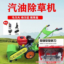 �z��녵��¿������CС�ͼ������ͳ��ݙCһ�C�����z���_����������