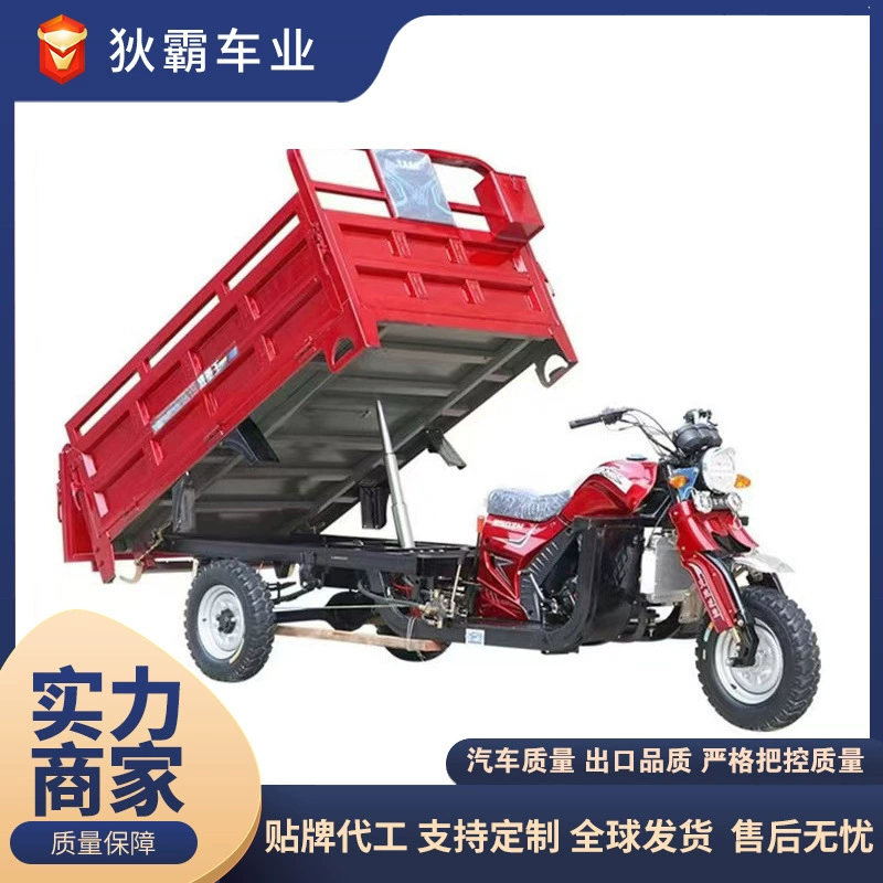 Новый Zongshen Hanwei защищает трехколесный самосвал