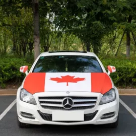 沙发垫/套;餐桌布艺;旗帜