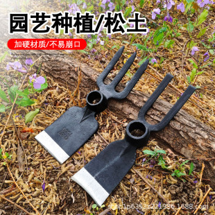 �Ӻ�ȫ�С�z�^ͥԺ�Nֲ���ò��z�N���N���z����������i䓃����z