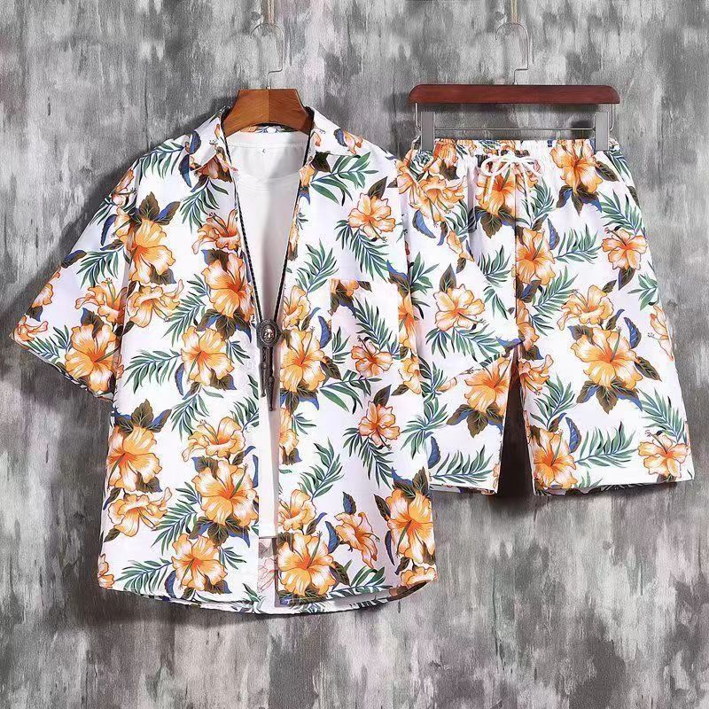 Ds006 set