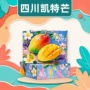 四川商务团购福利礼盒