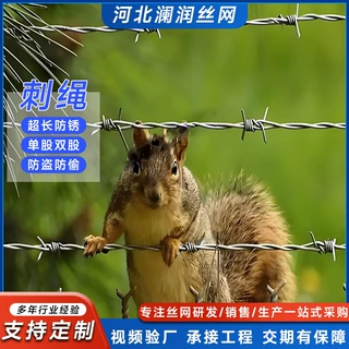 F-BW-C刺钢丝刺绳隔离栅双股刺绳铁丝围栏网刺铁丝隔离栅