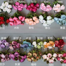 ��ĵ�����滨 13��������оĵ���Ҿӻ�Y���û��h�仨������ș