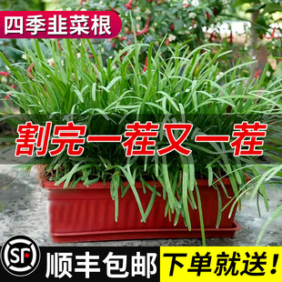 �F�ڼt�����~�²˸����ļ��N�ӷN�����̨���ϸ������ѷNС�~��