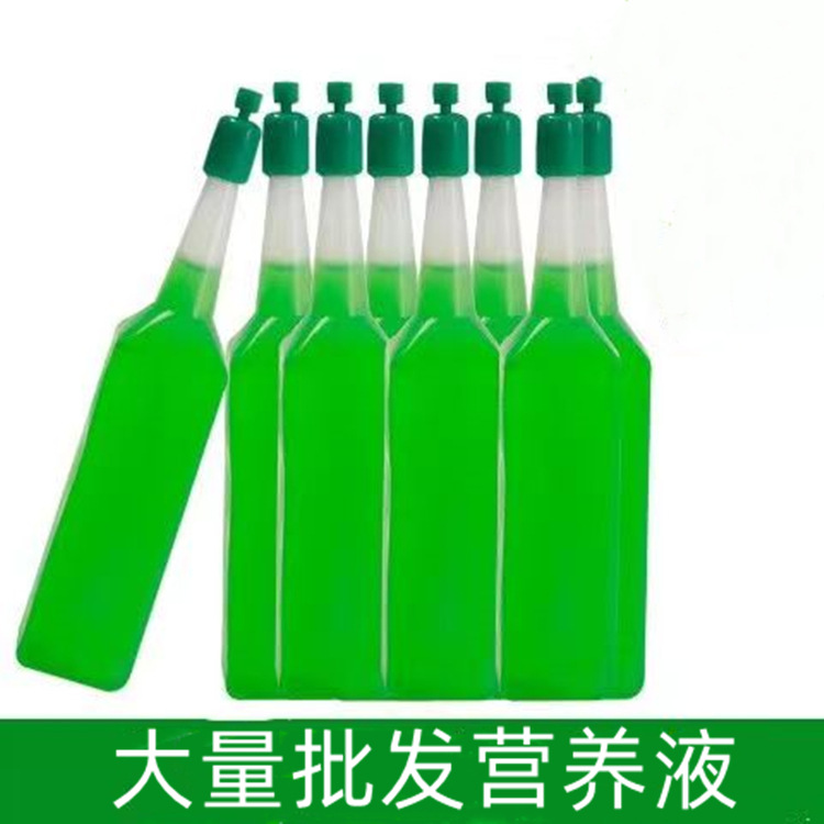 Hydroponic Plant Nutrient Solution Universal Foliar Hydroponic Flower Fertilizer Fleshy Chlorophytum Chlorophytum Hydroponic Liquid Fertilizer