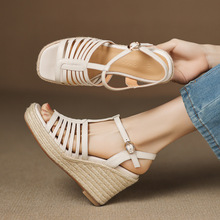 ���L��С���ӳ��߸��ݾ��¸�2025��׼������^¶ֺһ�ֿ���Ƥ��Ь