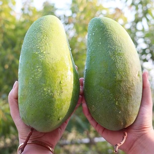 ����â�����rˮ����â���ش�����â�����â������]���l