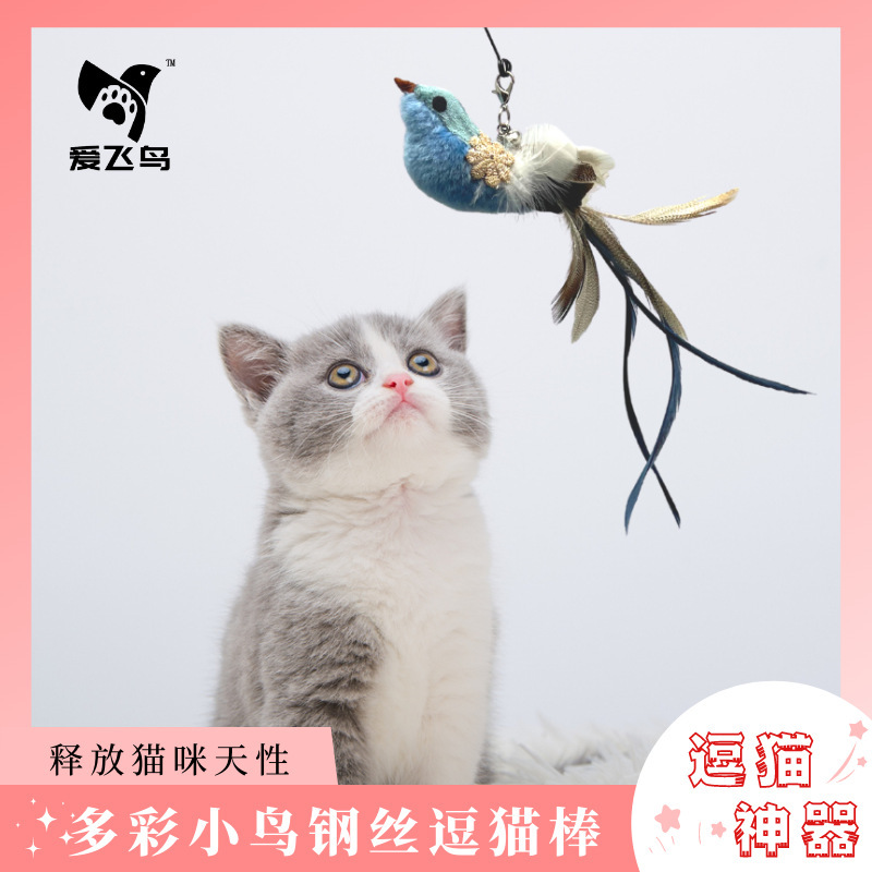 Love bird cat toy colorful feather bird steel wire long rod cat stick replacement head Self-Hi bite resistant pet toy