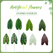 羳~Ƭ˽廨ֲܛbbl˽