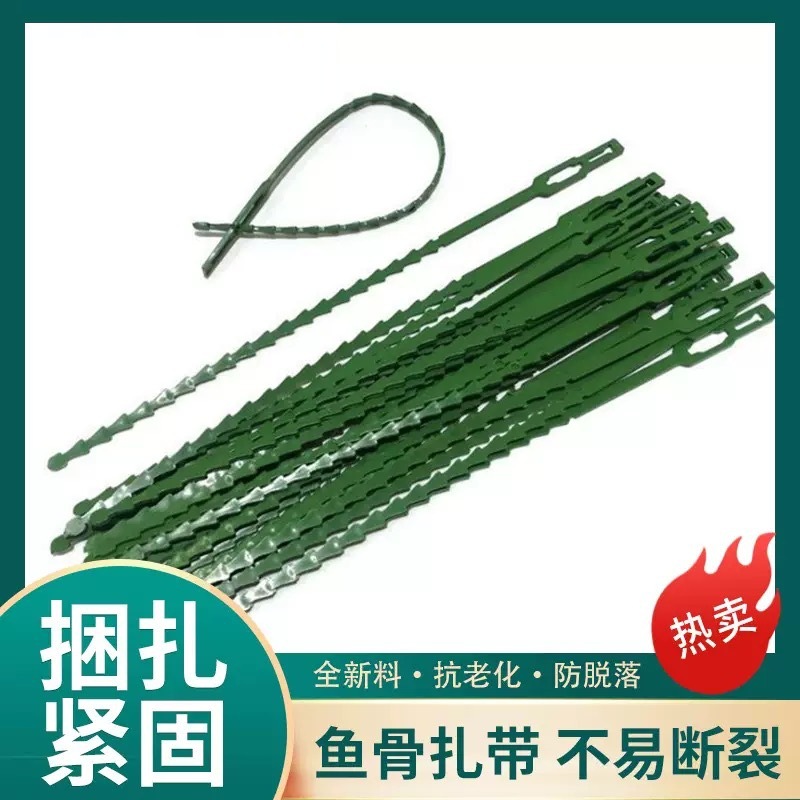 鱼骨扎带捆绑线多用途园林绑树藤蔓植物固定园艺可拆卸扎线花卉