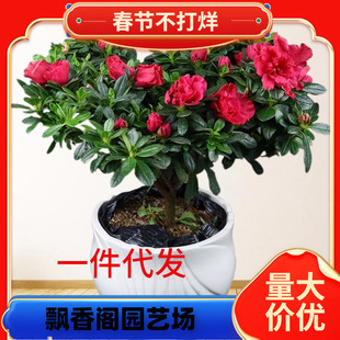 һ�����l�ļ����N�����Ԏ��������U���N�����Ϙ��L�ۻ����҃ȿ͏d