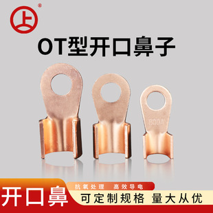 Rising Copper Open Copper Nose Copper Ear Wire