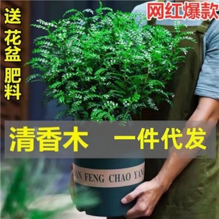 �����x����ľ����ľ����ֲ��Gֲ�҃ȿ͏d�ļ����������՚�����