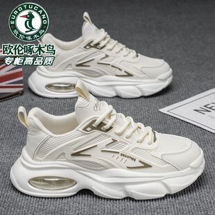 �W����ľ�B������Ь2025�＾�¿�͸���לp���ϵ�Ь���e�\�ӳ�Ь