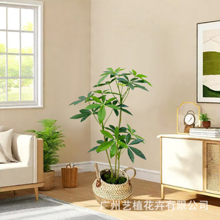 �u�X�����lؔ����ؔ����X��͏dһ���L��լ�辰���Դ���Gֲ