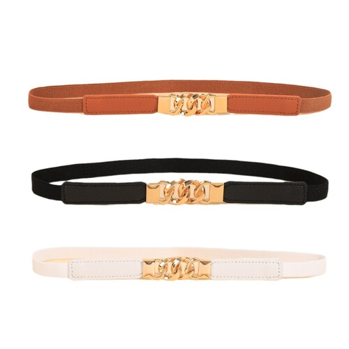 Women's Elasticated Slim Waist Belt for Dresses, Sweaters, Coats - Versatile Decorative Ins Belt
