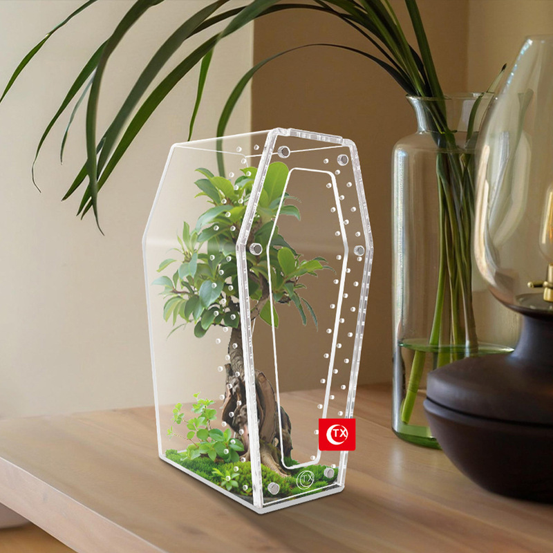 Transparent Acrylic Coffin Shape Wolf Spider Breeding Box Magnetic Door Breathable Reptile Perch Display Box Ecological Box Transparent Acrylic Coffin Shape Wolf Spider Breeding Box Magnetic Door Breathable Reptile Perch Display Box Ecological Box