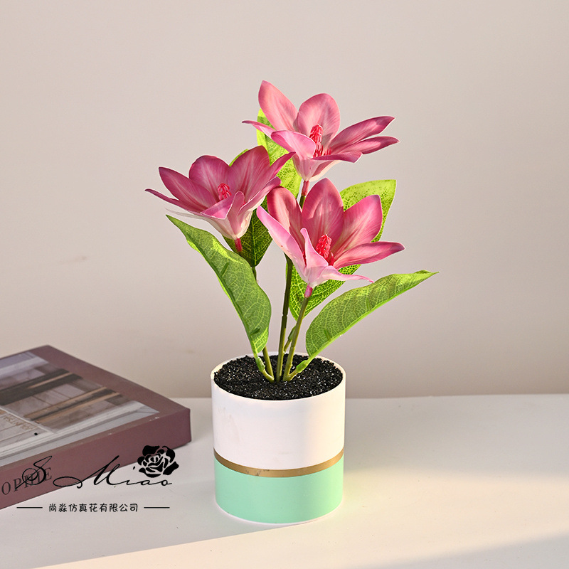 Transfronterizos tres cabezas sensación de mano magnolia bonsai creativo flores de simulación decoración de estudio en el hogar adornos verdes artificiales maceta
