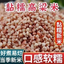 东北黏糯高粱米5斤新米红粘高粱仁包粽子粘糕汤圆豆包杂粮粥