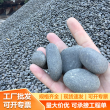 灰色鹅卵石变压器河卵石油池过滤工程铺路园林景观水处理河鹅卵石