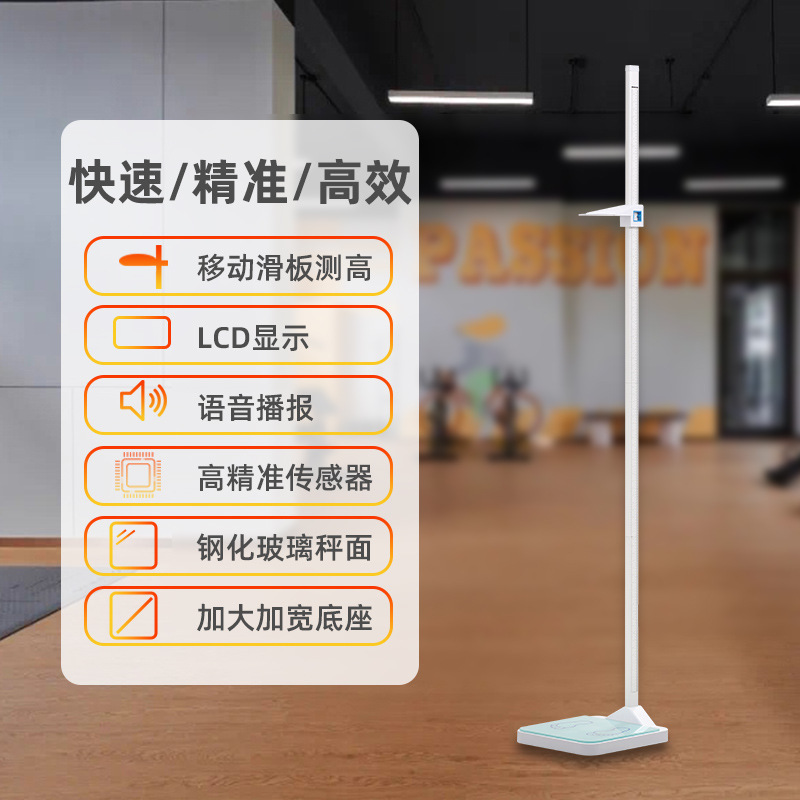 子供用ノギスは正確な身長測定スケール付き身長と体重測定器学校身長と体重計アーティファクト卸売|undefined