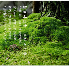 �r��̦�\΢���^ֲ���辰����ˮꑸװװl�\�̽q��̦��ɽ���쾰����