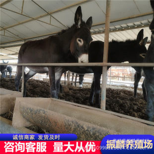 �������H�Bֳ�� �������H�x  ���^�H�r�� �P���Hһ�^