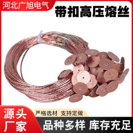 厂家批发10KV带扣断路器高压熔丝跌落式熔断保险丝电气熔断器熔丝