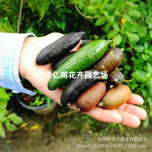 ������ָ���ʘ���ˮ���~���u�t�㙉�޽��ļ���������䮔��Y��