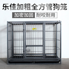 �����д��͹��\�ӼӴּӹ̎������бP��ë��ʿ���_Ħ������������