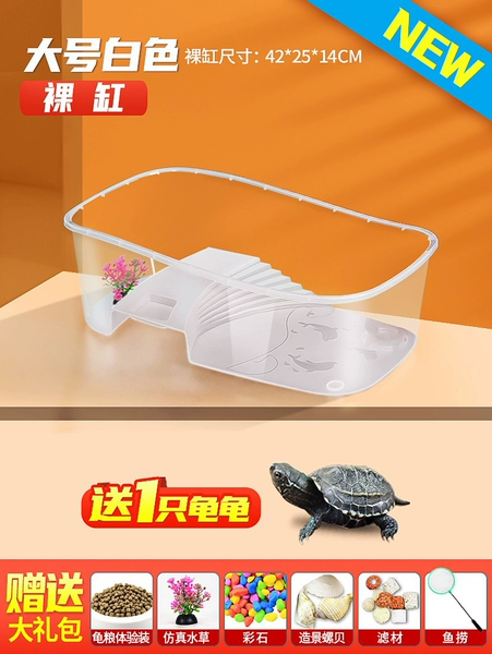 Large white cylinder sending turtle+gift package