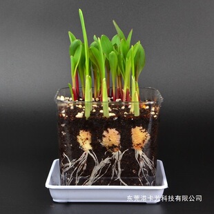 ͸��ֲ���^��NֲС���ԷN�������ඹ�Ӄ�ͯ�lѿ�����L��ӛС�W��