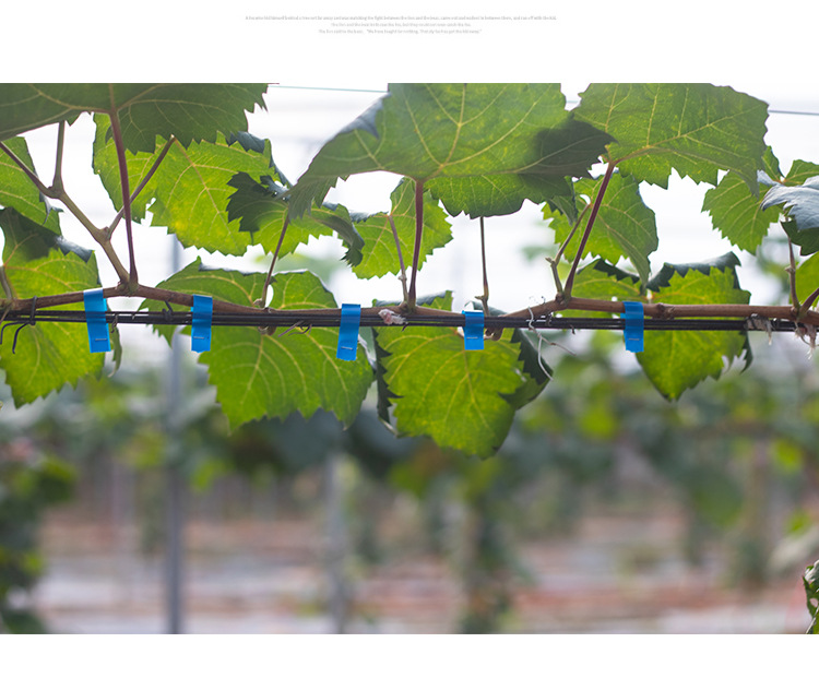 O1CN01FfsiOI2I0e2K8ciE0_!!2956