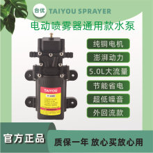 農用電動噴霧器水泵 電動噴霧器配件 12V外回流 高壓大功率隔膜泵