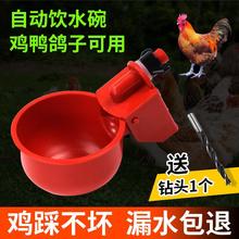 小鸡喝水饮水器养殖喂鸡鸭鹅喝水的自动水壶家禽用饮水碗鸽子新型