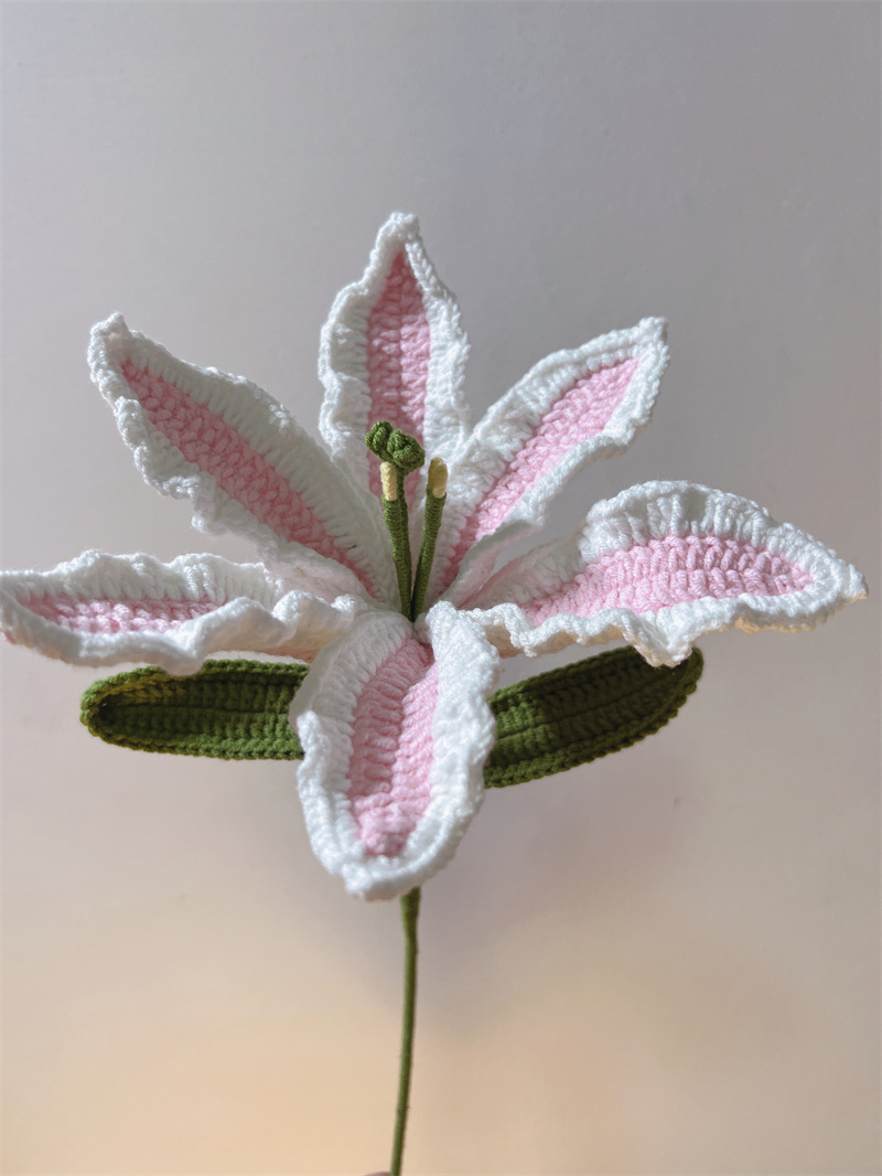 450g Weight Crochet Flowers Home Textiles & Decor Type Artificial Plant Event & Party Supplies 1 Piece Quantity Casual, Home, Daily Occasion yarn Material Flower Pattern Pastoral Style Pastoral Flower Yarn Crochet Flowers Artificial Flowers 3