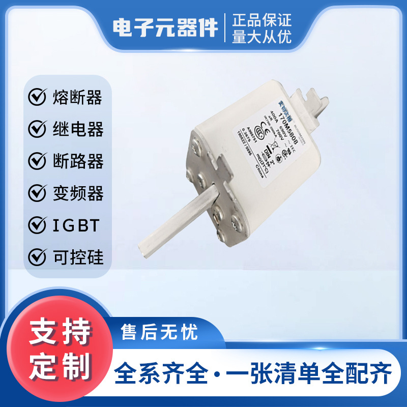 全新原装170M5808 170M5809 智能跌落式低压快速熔断器量大从优