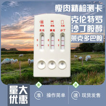 ˂_zyR˶Ͱyԇ40lɳzyԇţiyԇ